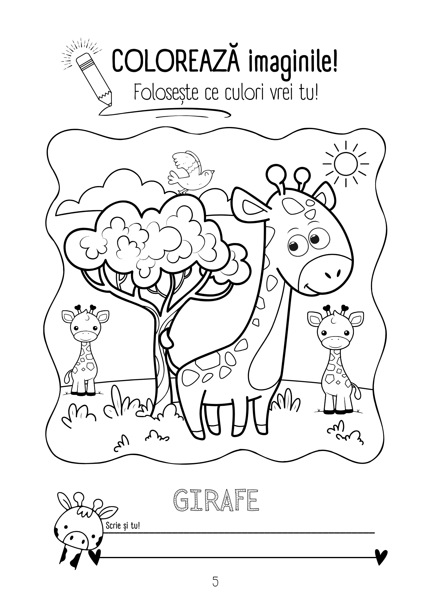 Învăț să colorez și sunt creativ - Nivelul 4